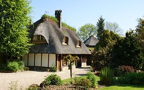 Le Petit Coq Aux Champs - Teritoria